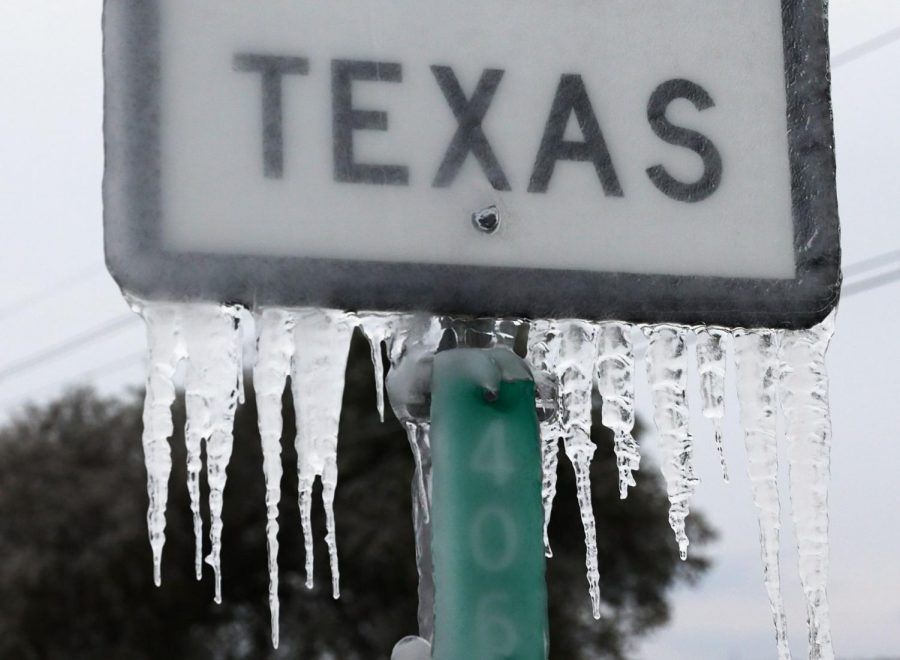 Texas Snowstorm Tests Resident