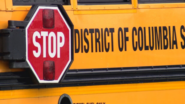 Should DCPS Provide School Busses as a Safer Way to Get to School?