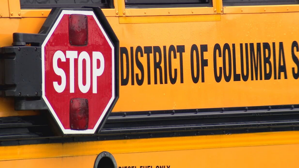 Should DCPS Provide School Busses as a Safer Way to Get to School?