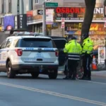 Police car lights in Brooklyn after a fatal hit-and-run investigation
