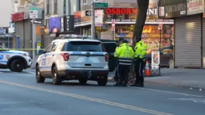 Police car lights in Brooklyn after a fatal hit-and-run investigation