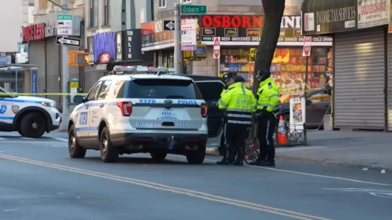 Police car lights in Brooklyn after a fatal hit-and-run investigation